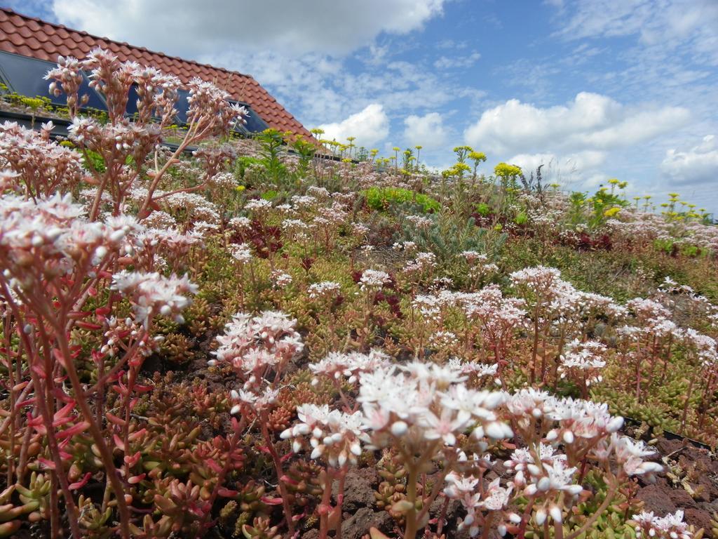 Fleur De Ciel Villa Loos-en-Gohelle Luaran gambar