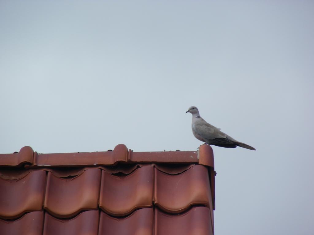 Fleur De Ciel Villa Loos-en-Gohelle Luaran gambar