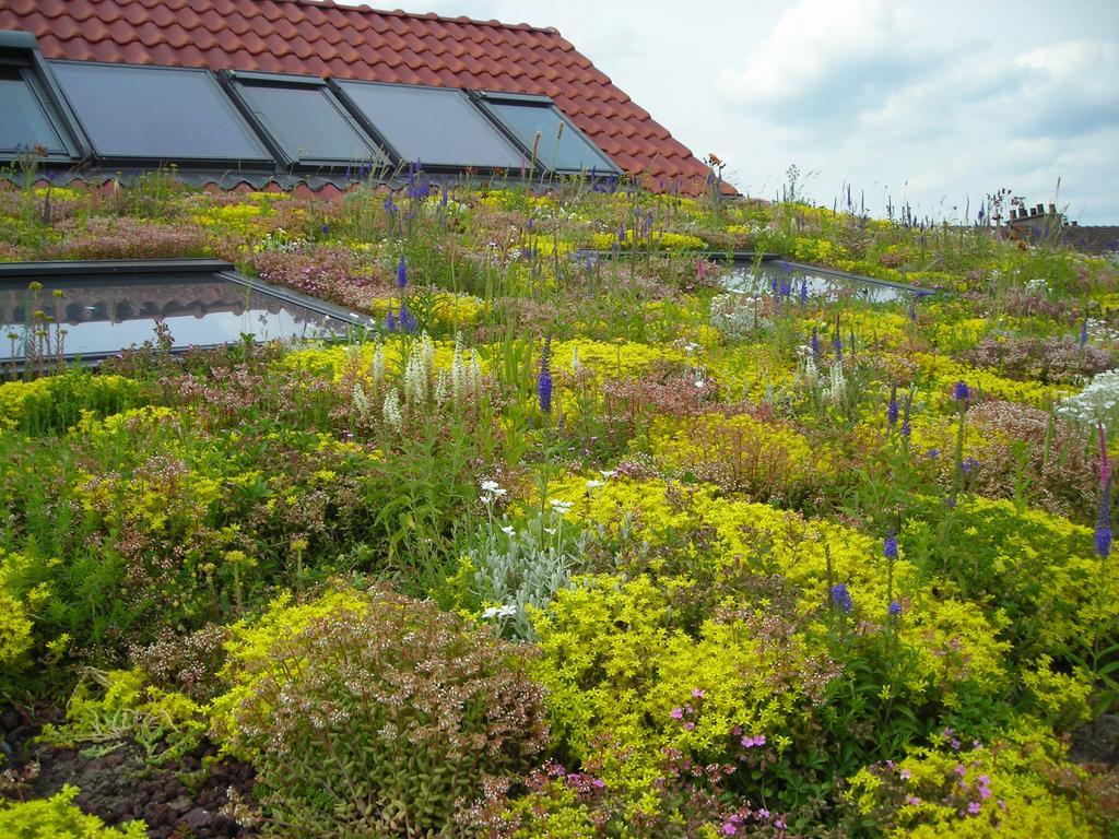 Fleur De Ciel Villa Loos-en-Gohelle Luaran gambar